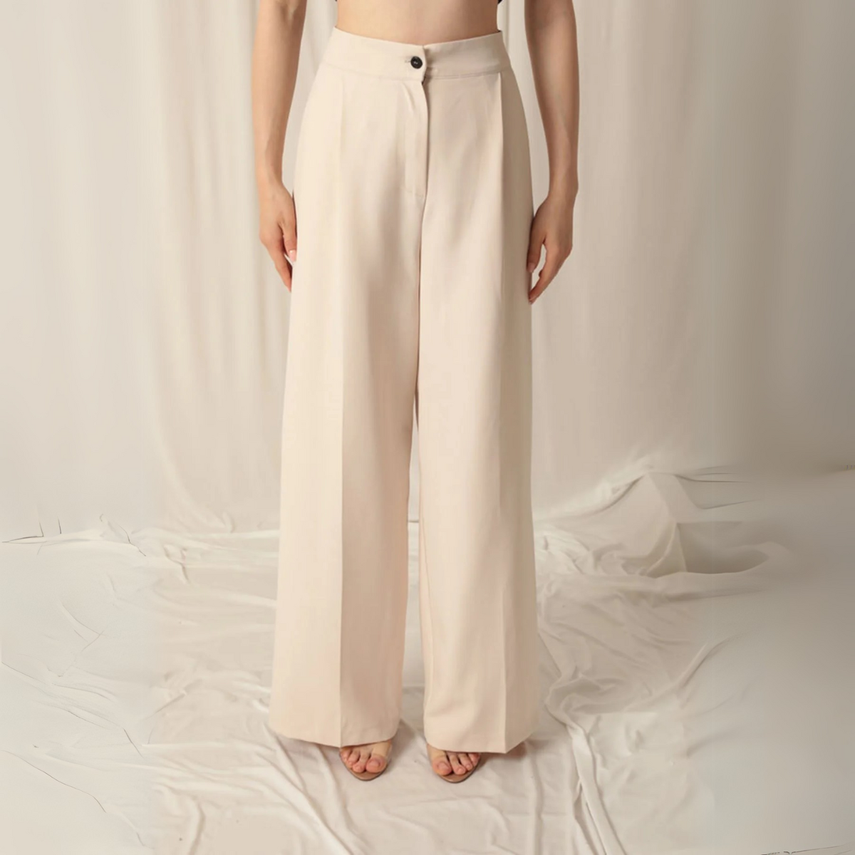 Wide-Leg Pants (Beige)